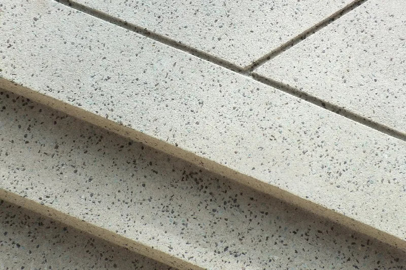 Antrenman Beslenmesinin Temelleri: Protein, Karbonhidrat ve Yağ yazısının kapak görseli